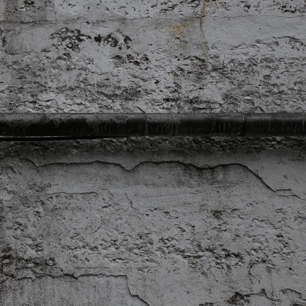 How to Taste: The DramShed Way